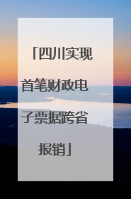 四川实现首笔财政电子票据跨省报销