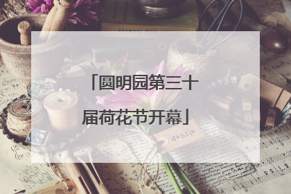 圆明园第三十届荷花节开幕
