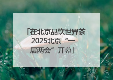 在北京品饮世界茶 2025北京“一展两会”开幕