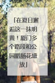 在夏日邂逅这一抹明黄！厦门多个路段和公园腊肠花盛放