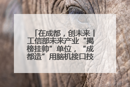 在成都，创未来丨工信部未来产业“揭榜挂帅”单位，“成都造”用脑机接口技术造福孤独症儿童