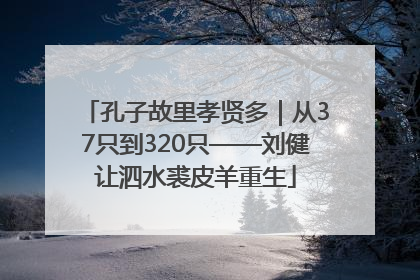 孔子故里孝贤多｜从37只到320只——刘健让泗水裘皮羊重生