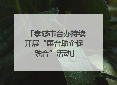 孝感市台办持续开展“惠台助企促融合”活动