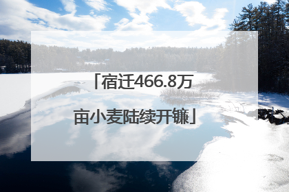 宿迁466.8万亩小麦陆续开镰