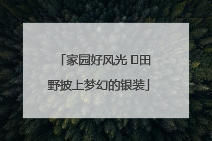 家园好风光 ⎮田野披上梦幻的银装
