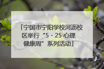 宁国市宁阳学校河沥校区举行“5・25 心理健康周”系列活动