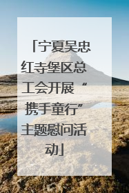 宁夏吴忠红寺堡区总工会开展“携手童行”主题慰问活动
