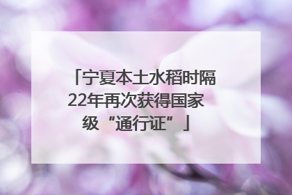 宁夏本土水稻时隔22年再次获得国家级“通行证”