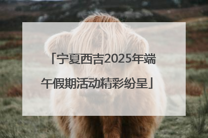 宁夏西吉2025年端午假期活动精彩纷呈