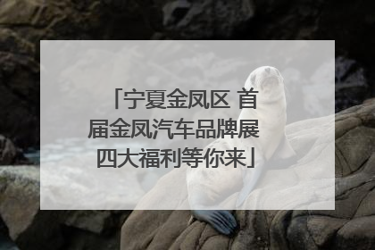 宁夏金凤区 首届金凤汽车品牌展四大福利等你来
