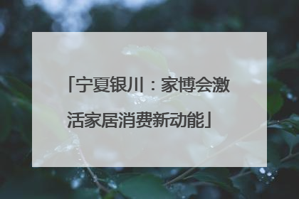 宁夏银川：家博会激活家居消费新动能