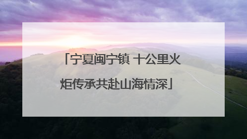 宁夏闽宁镇 十公里火炬传承共赴山海情深