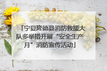 宁夏隆德县消防救援大队多举措开展“安全生产月”消防宣传活动