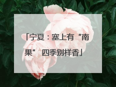 宁夏：塞上有“南果” 四季别样香