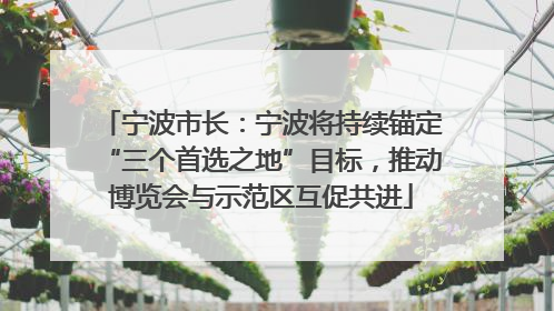 宁波市长：宁波将持续锚定“三个首选之地”目标，推动博览会与示范区互促共进