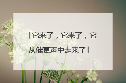 它来了，它来了，它从催更声中走来了