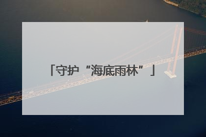 守护“海底雨林”
