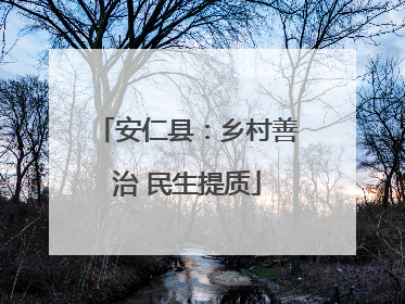 安仁县：乡村善治 民生提质