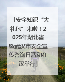 安全知识“大礼包”来啦！2025年湖北省暨武汉市安全宣传咨询日活动在汉举行
