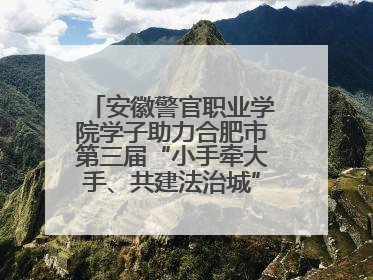 安徽警官职业学院学子助力合肥市第三届“小手牵大手、共建法治城”公益普法活动