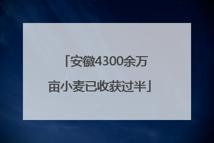 安徽4300余万亩小麦已收获过半