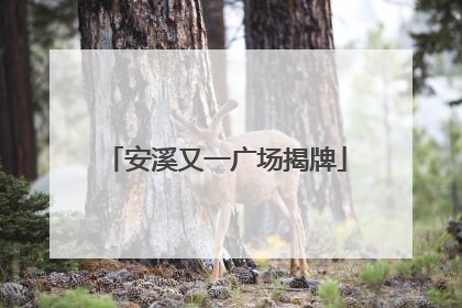 安溪又一广场揭牌