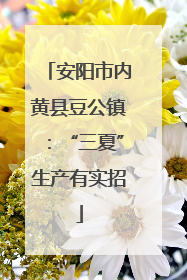 安阳市内黄县豆公镇：“三夏”生产有实招