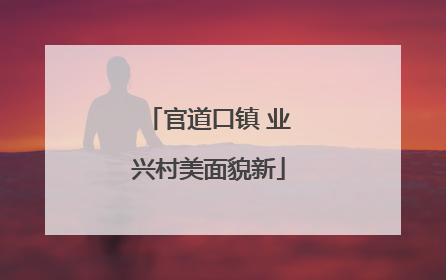 官道口镇 业兴村美面貌新