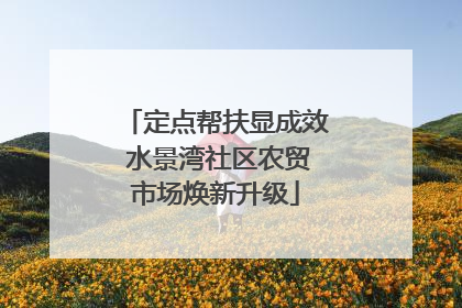 定点帮扶显成效 水景湾社区农贸市场焕新升级