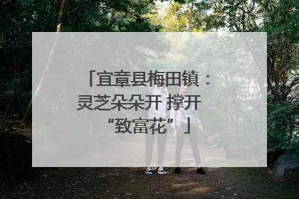 宜章县梅田镇：灵芝朵朵开 撑开“致富花”