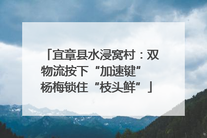宜章县水浸窝村：双物流按下“加速键” 杨梅锁住“枝头鲜”