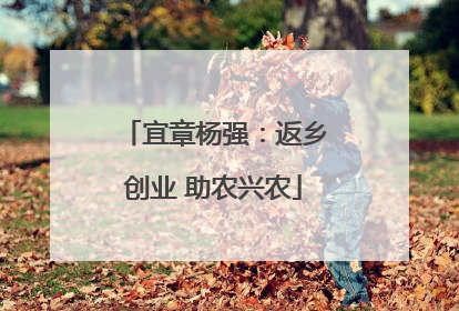 宜章杨强：返乡创业 助农兴农