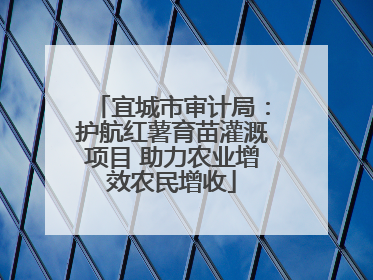 宜城市审计局：护航红薯育苗灌溉项目 助力农业增效农民增收