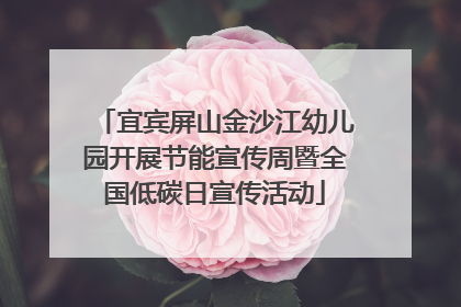 宜宾屏山金沙江幼儿园开展节能宣传周暨全国低碳日宣传活动