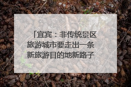 宜宾：非传统景区旅游城市要走出一条新旅游目的地新路子｜话锦绣·说安逸