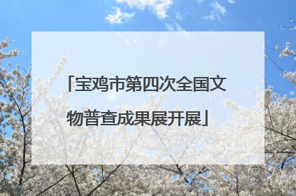 宝鸡市第四次全国文物普查成果展开展