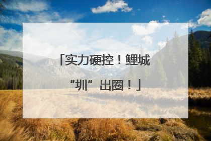 实力硬控！鲤城“圳”出圈！