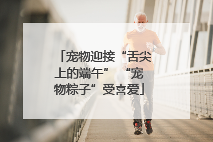 宠物迎接“舌尖上的端午” “宠物粽子”受喜爱