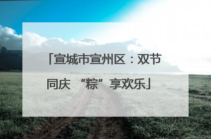 宣城市宣州区：双节同庆 “粽”享欢乐