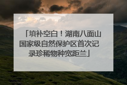 填补空白！湖南八面山国家级自然保护区首次记录珍稀物种宽距兰
