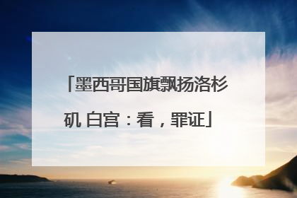 墨西哥国旗飘扬洛杉矶 白宫：看，罪证