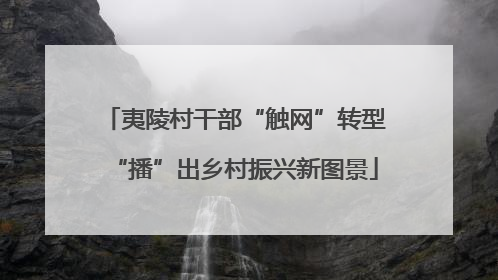 夷陵村干部“触网”转型“播”出乡村振兴新图景