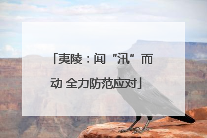 夷陵：闻“汛”而动 全力防范应对