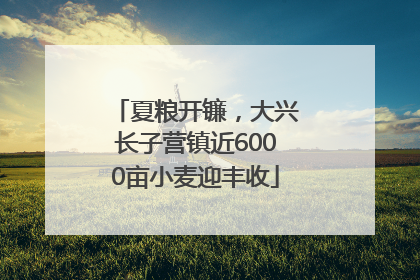 夏粮开镰，大兴长子营镇近6000亩小麦迎丰收