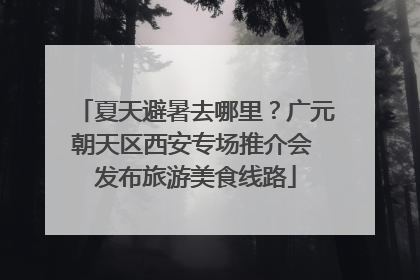 夏天避暑去哪里？广元朝天区西安专场推介会 发布旅游美食线路