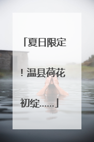 夏日限定！温县荷花初绽……