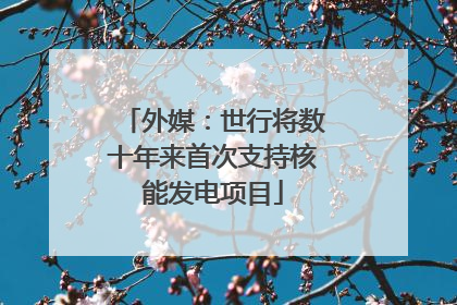 外媒：世行将数十年来首次支持核能发电项目