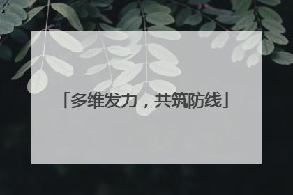 多维发力，共筑防线
