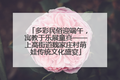 多彩民俗迎端午，寓教于乐展童真——上高街道魏家庄村萌娃传统文化盛宴