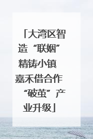 大湾区智造“联姻”精铸小镇 嘉禾借合作“破茧”产业升级